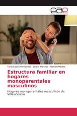 Estructura familiar en hogares monoparentales masculinos