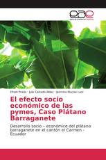 El efecto socio económico de las pymes, Caso Plátano Barraganete