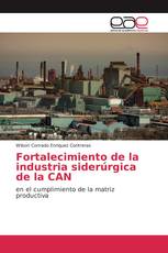 Fortalecimiento de la industria siderúrgica de la CAN