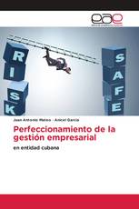 Perfeccionamiento de la gestión empresarial
