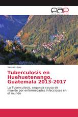Tuberculosis en Huehuetenango, Guatemala 2013-2017
