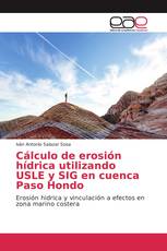 Cálculo de erosión hídrica utilizando USLE y SIG en cuenca Paso Hondo