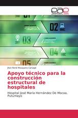 Apoyo técnico para la construcción estructural de hospitales