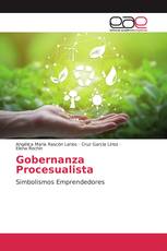 Gobernanza Procesualista