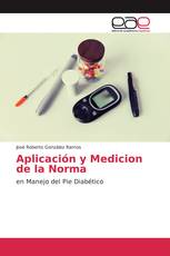 Aplicación y Medicion de la Norma