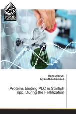 Proteins binding PLC in Starfish spp. During the Fertilization