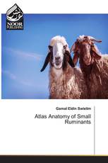 Atlas Anatomy of Small Ruminants