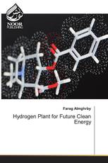 Hydrogen Plant for Future Clean Energy