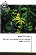 Studies on some viruses infecting cowpea plants