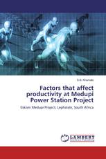 Factors that affect productivity at Medupi Power Station Project