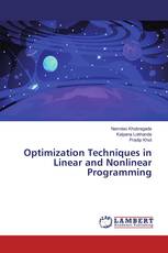 Optimization Techniques in Linear and Nonlinear Programming