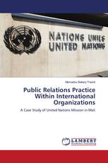 Public Relations Practice Within International Organizations