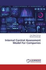 Internal Control Assessment Model For Companies
