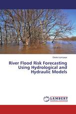 River Flood Risk Forecasting Using Hydrological and Hydraulic Models
