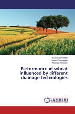 Performance of wheat influenced by different drainage technologies