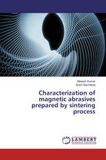 Characterization of magnetic abrasives prepared by sintering process