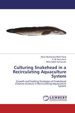 Culturing Snakehead in a Recirculating Aquaculture System