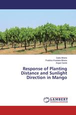 Response of Planting Distance and Sunlight Direction in Mango