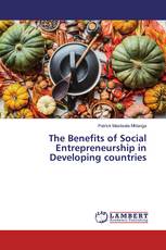 The Benefits of Social Entrepreneurship in Developing countries