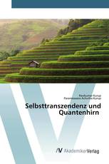 Selbsttranszendenz und Quantenhirn