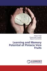 Learning and Memory Potential of Pistacia Vera Fruits