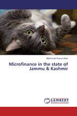 Microfinance in the state of Jammu & Kashmir