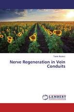 Nerve Regeneration in Vein Conduits