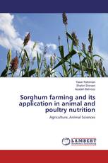 Sorghum farming and its application in animal and poultry nutrition