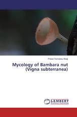Mycology of Bambara nut (Vigna subterranea)
