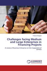 Challenges facing Medium and Large Enterprises in Financing Projects