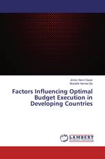 Factors Influencing Optimal Budget Execution in Developing Countries