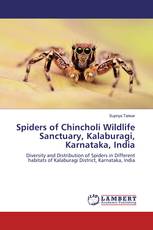 Spiders of Chincholi Wildlife Sanctuary, Kalaburagi, Karnataka, India