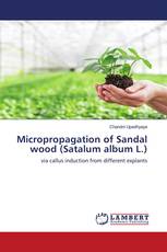 Micropropagation of Sandal wood (Satalum album L.)