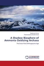 A Shadow Biosphere of Ammonia Oxidizing Archaea