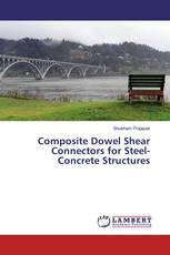 Composite Dowel Shear Connectors for Steel-Concrete Structures