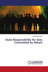 State Responsibility for Acts Committed by Rebels