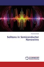Solitons in Semiconductor Nanowires