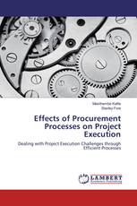 Effects of Procurement Processes on Project Execution