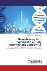 Gene delivery into mammalian cells by recombinant baculovirus