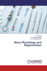 Bone Physiology and Regeneration