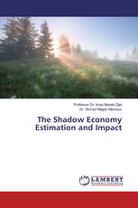 The Shadow Economy Estimation and Impact