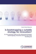 Is bootstrapping a suitable strategy for innovation?