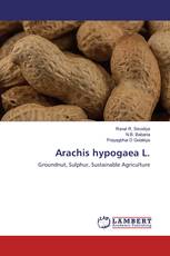 Arachis hypogaea L.