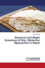 Bacterial Leaf Blight Screening of Rice, Molecular Approaches in Nepal