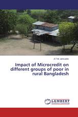 Impact of Microcredit on different groups of poor in rural Bangladesh