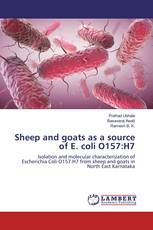 Sheep and goats as a source of E. coli O157:H7