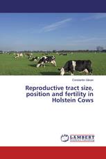 Reproductive tract size, position and fertility in Holstein Cows