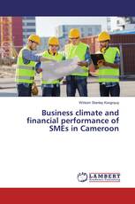 Business climate and financial performance of SMEs in Cameroon