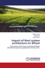Impact of Root system architecture on Wheat
