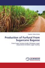 Production of Furfural From Sugarcane Bagasse